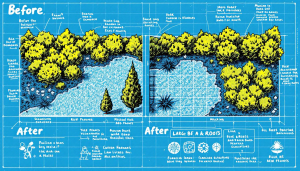 Handling large bushes and deep roots during shrub removal.